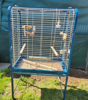 Pagagei Vogelkäfig auf Rollen abzugeben 