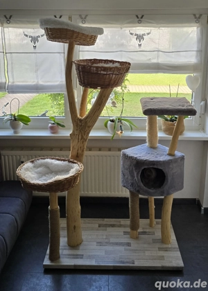 Katzenkratzbaum Echtholz Unikat