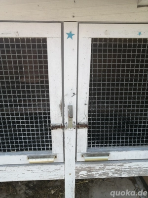 Hasen-Kaninchenstall  Bild 2