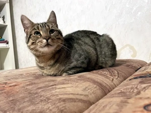 CARLO - Rohdiamant braucht Feinschliff