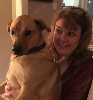 Suche Hilfe für wöchentliche Wäsche   Klein Köris