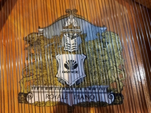 Royale Flügel zu verkaufen - image 3