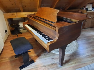 Royale Flügel zu verkaufen