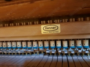 Royale Flügel zu verkaufen - image 8
