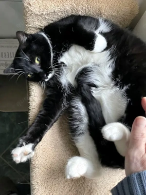 TONJA & MAXI - Traumpaar sucht gemeinsames Zuhause