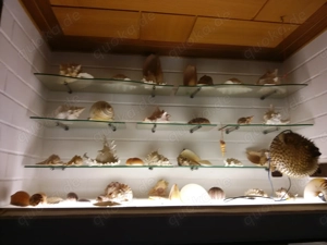 Haushaltshilfe für Einzelperson in Einfamilienhaus