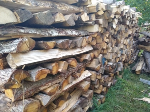 Brennholz Hartholz halbtrocken Eiche Buche Ahorn 