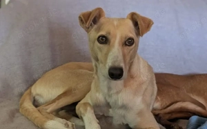 Zeigst du PAVEL wie schön die Welt ist?