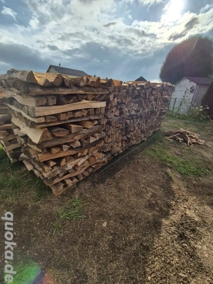 Brennholz, Buchenbrennhokz