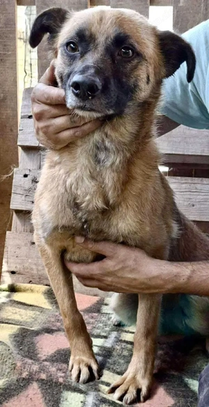Arko ist auf der Suche nach Ruhe & Sicherheit Bild 5