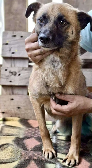 Arko ist auf der Suche nach Ruhe & Sicherheit Bild 6