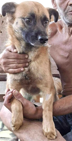 Arko ist auf der Suche nach Ruhe & Sicherheit Bild 9