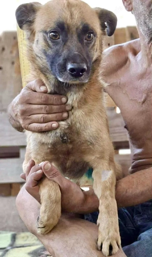 Arko ist auf der Suche nach Ruhe & Sicherheit Bild 8