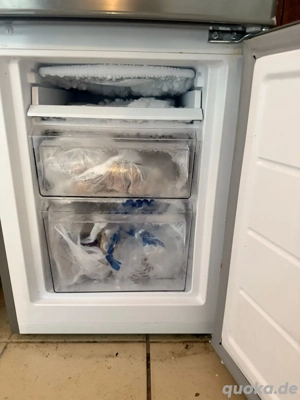 Kühlschrank mit Gefrierschrank 