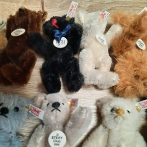 11 Steiff Clubmitglieder Bärchen von 1997-2    