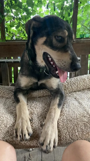 Barney - startbereit für das gute Leben Bild 3