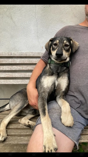 Barney - startbereit für das gute Leben