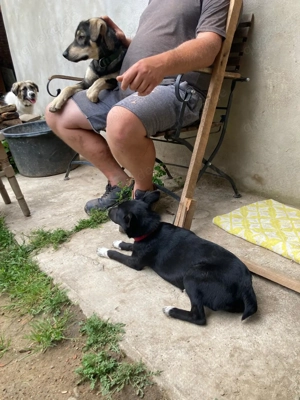 Barney - startbereit für das gute Leben Bild 6