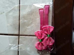 Katzenhalsbänder neuwertig