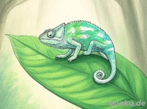 Chamäleon pantherchamäleon furcifer pardalis 