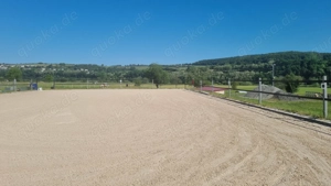 Neuer Wallach Offenstall mit Rundum-Versorgung Bild 4