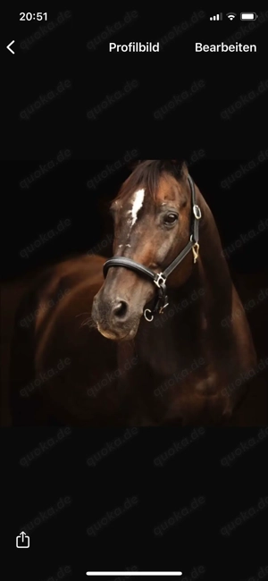 Pflegebeteiligung gesucht 