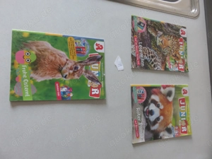 Junior Hefte zu verschenken