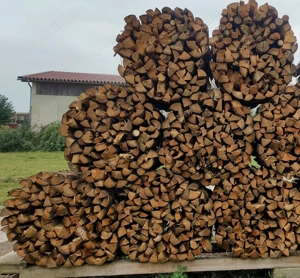 Fichten Brennholz gespalten und gebündelt