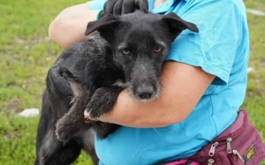 Scheue Selma sucht sicheren Heimathafen Bild 2