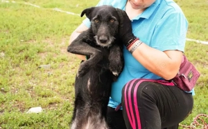 Scheue Selma sucht sicheren Heimathafen Bild 4