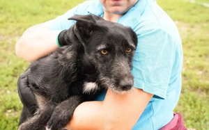 Scheue Selma sucht sicheren Heimathafen Bild 1