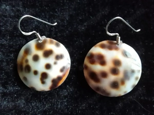 Schmuck:Hübsche braune Tiger-Muschelohrringe mit 925 Silberhaken