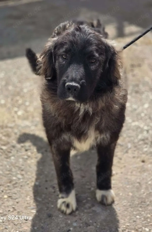 Wunderschönes Mädchen *Yona* ist ein Traum