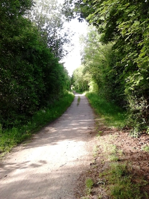 Energetisch - mediale Heilerin + Geistchirurgin + Protektorin