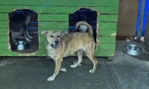 Wer schenkt Bettina eine sorgenfreie Zukunft?