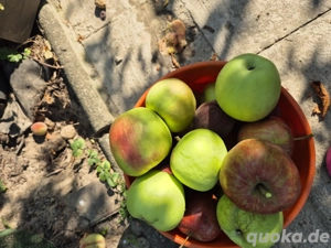 Schrebergarten in Jülich