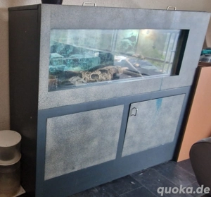 Aquarium, Terrarium mit Unterschrank abzugeben 