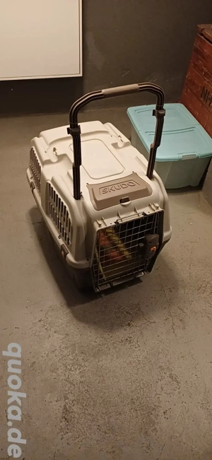 Hunde Transport Box 