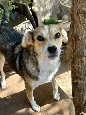 Simone ist ein entzückendes Mädchen   
