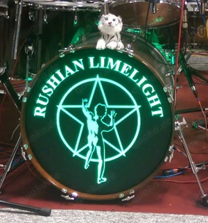 Käufer für Schlagzeug gesucht Bild 5