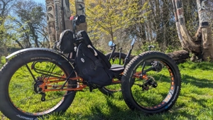 ICE Full Fat - Shimano Steps - Rohloff