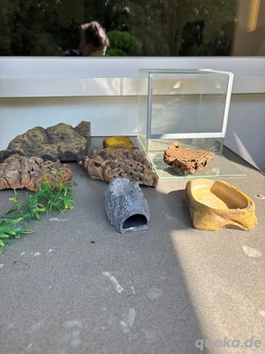 Terrarien für Füttertiere Bild 2