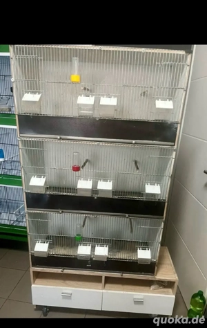 3 Zuchtkäfig 80cm mit Schranck 