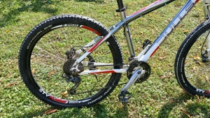 Bulls King Cobra Herren MTB