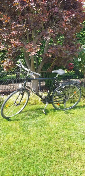 Herren Trekking Fahrrad