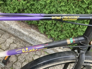 Trecking Fahrrad, Herren Bild 3