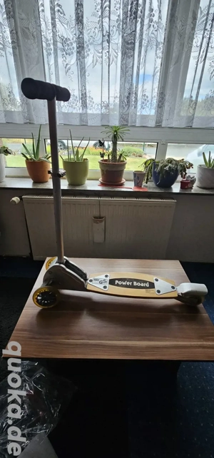 Lenkbarer Roller