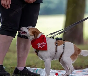 Jenna möchte endlich ankommen Bild 4