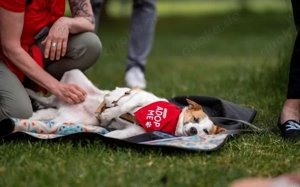 Jenna möchte endlich ankommen Bild 3