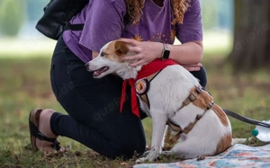 Jenna möchte endlich ankommen Bild 5
